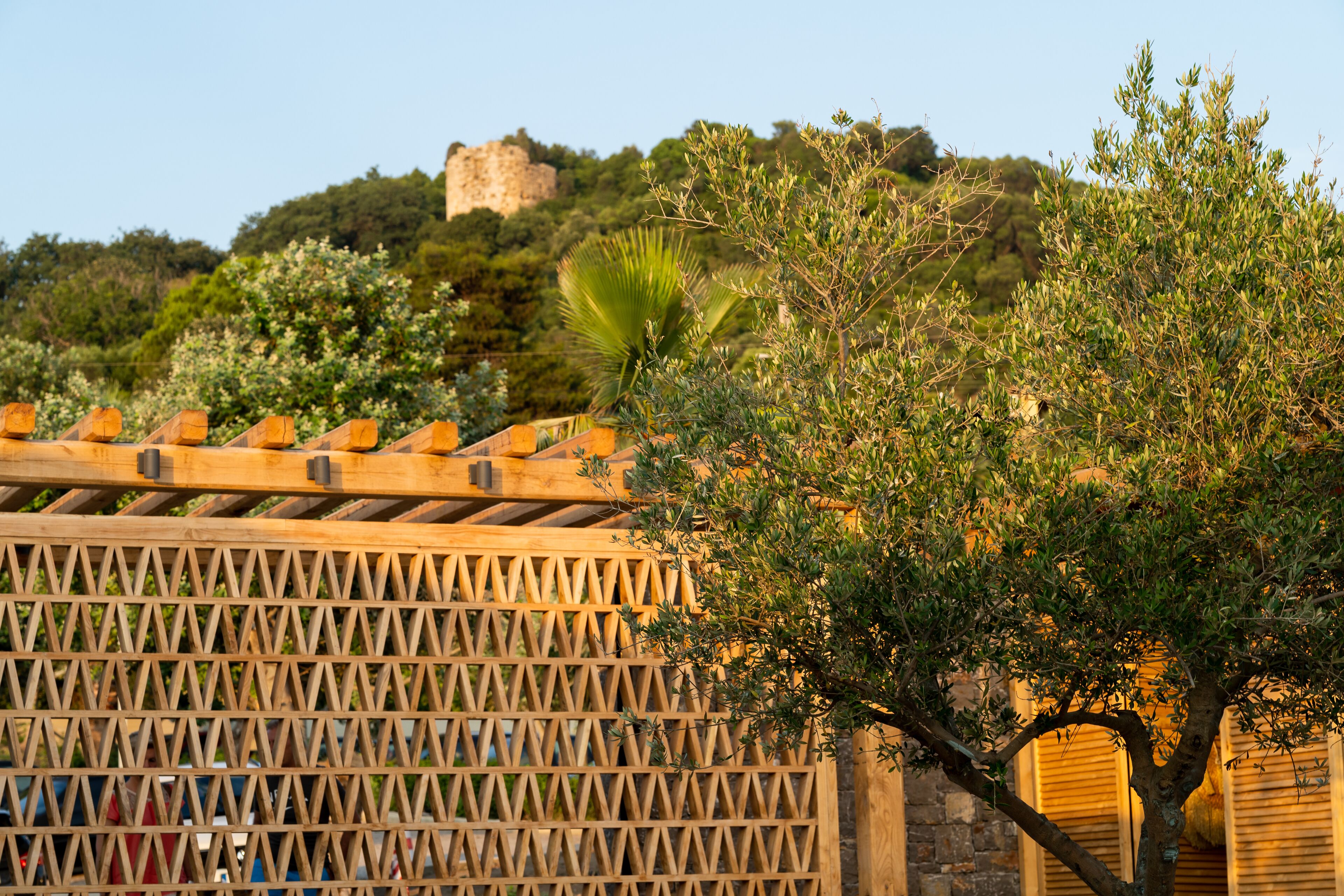 A wooden pergola with a geometric lattice design, a tree in the foreground, and a castle in the background.