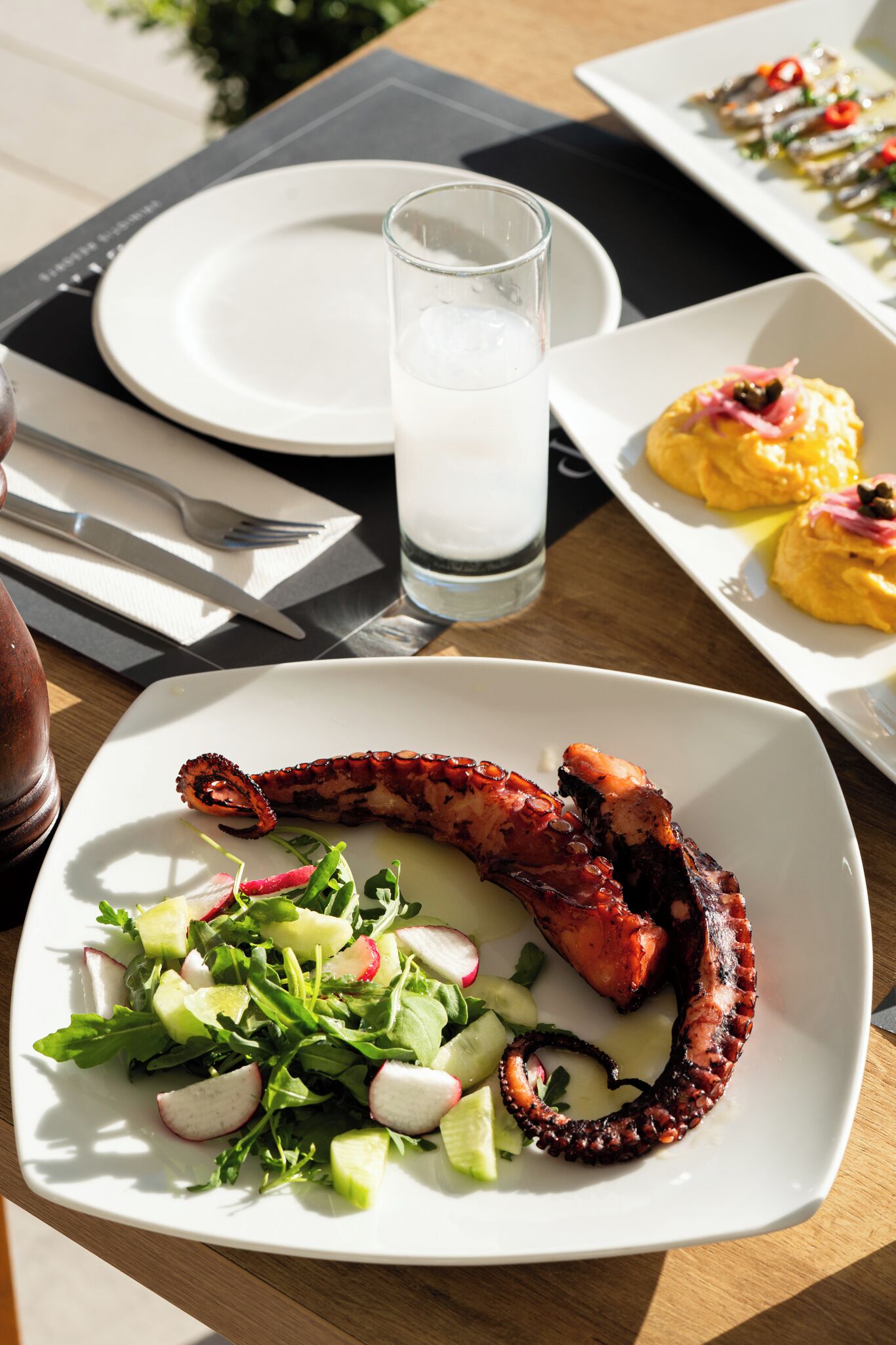 A meal with grilled octopus and a salad on a white plate.