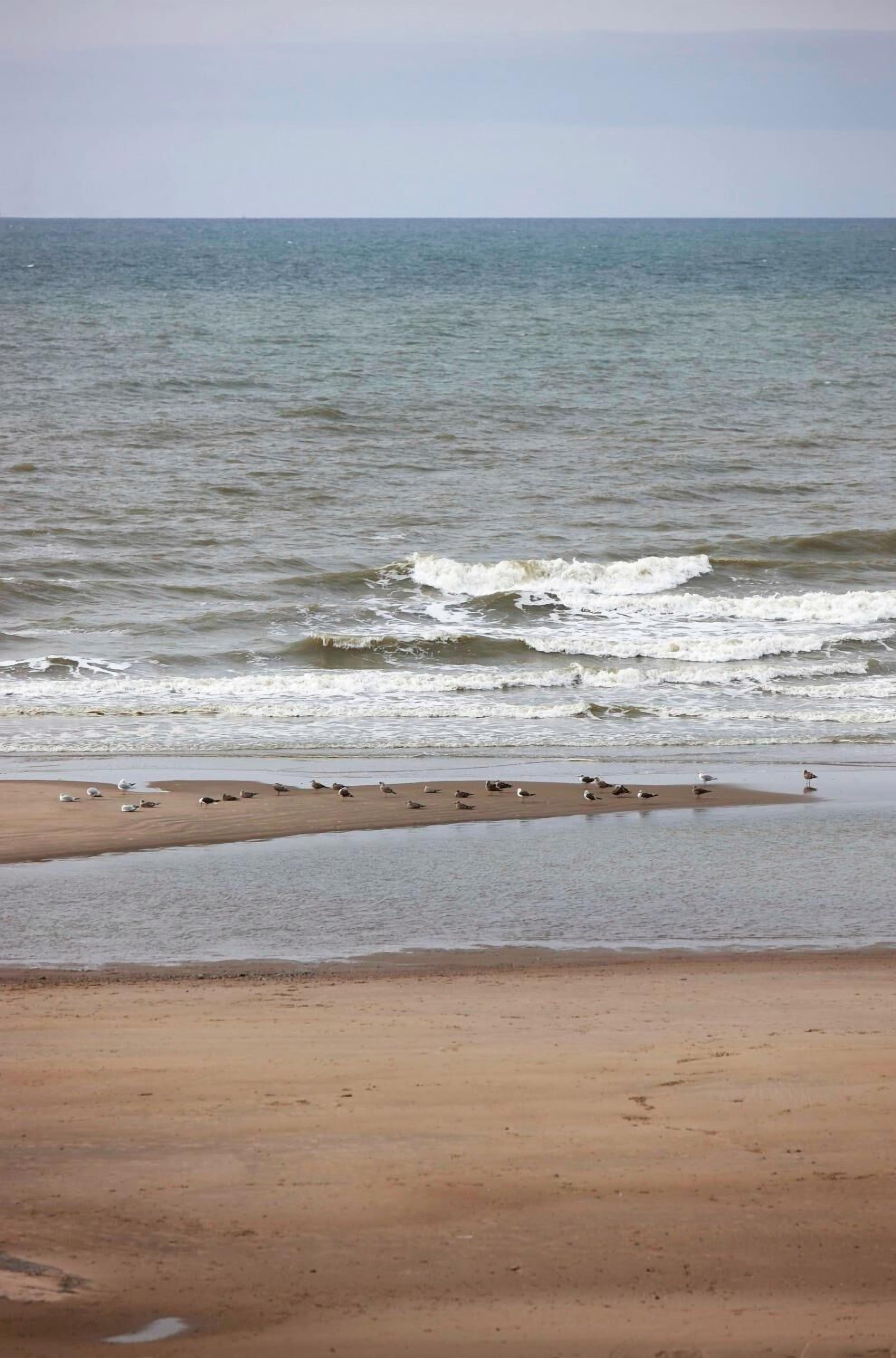 A beach with waves approaching the shore.
