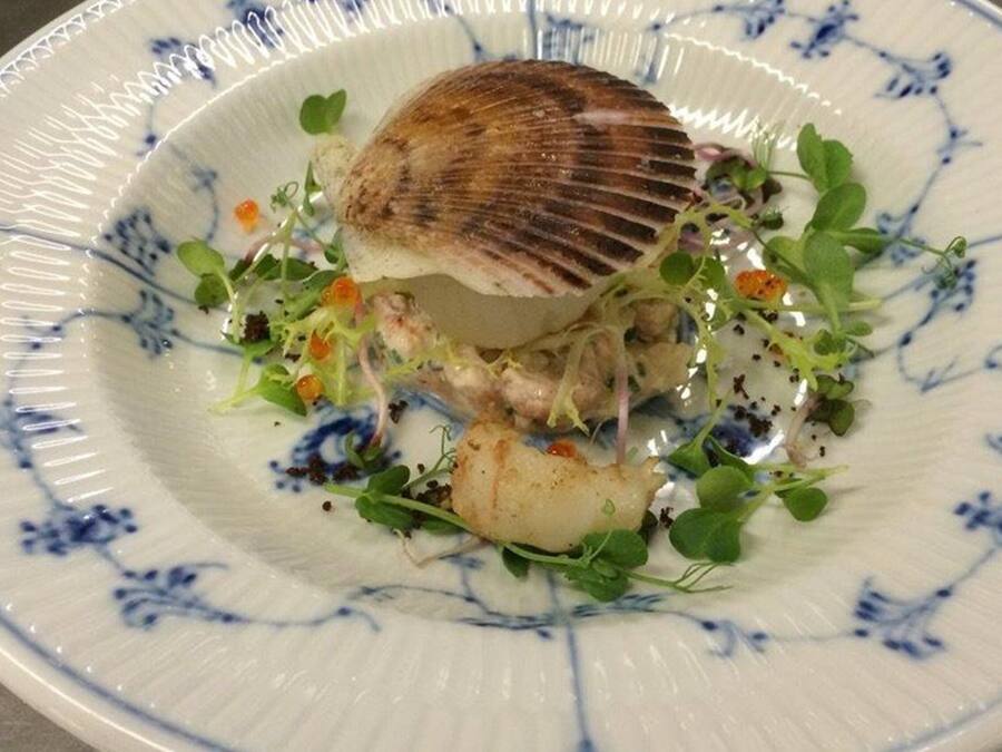 A plate with a seared scallop, greens, and a creamy sauce.