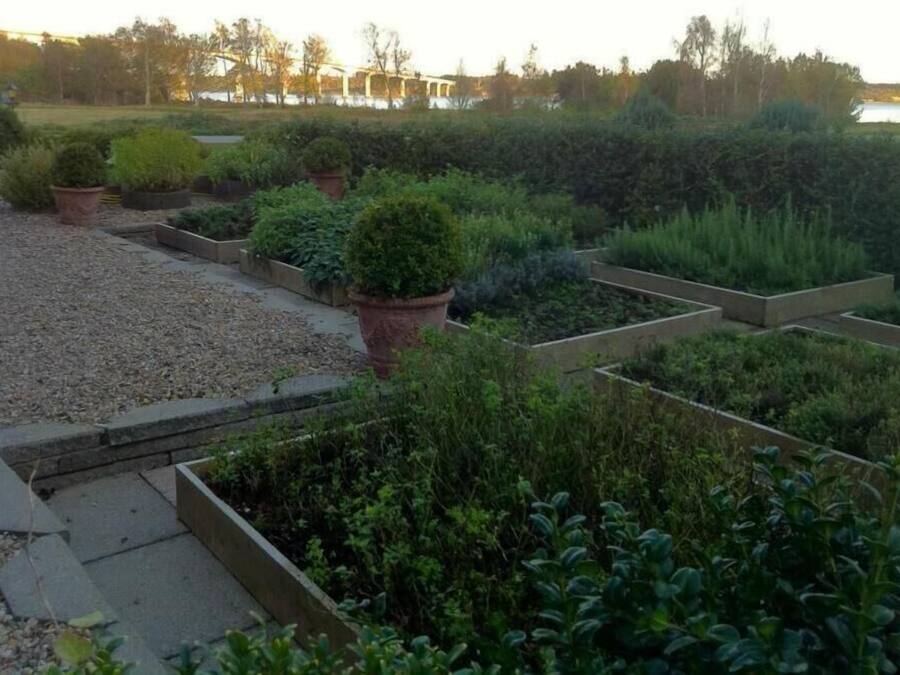Un jardín con bancales elevados y senderos de grava.