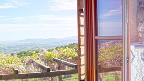 Una habitación con un amplio ventanal que da a viñedos y montañas. Se aprecia una pared de piedra y una estantería de madera con botellas de vino y copas.