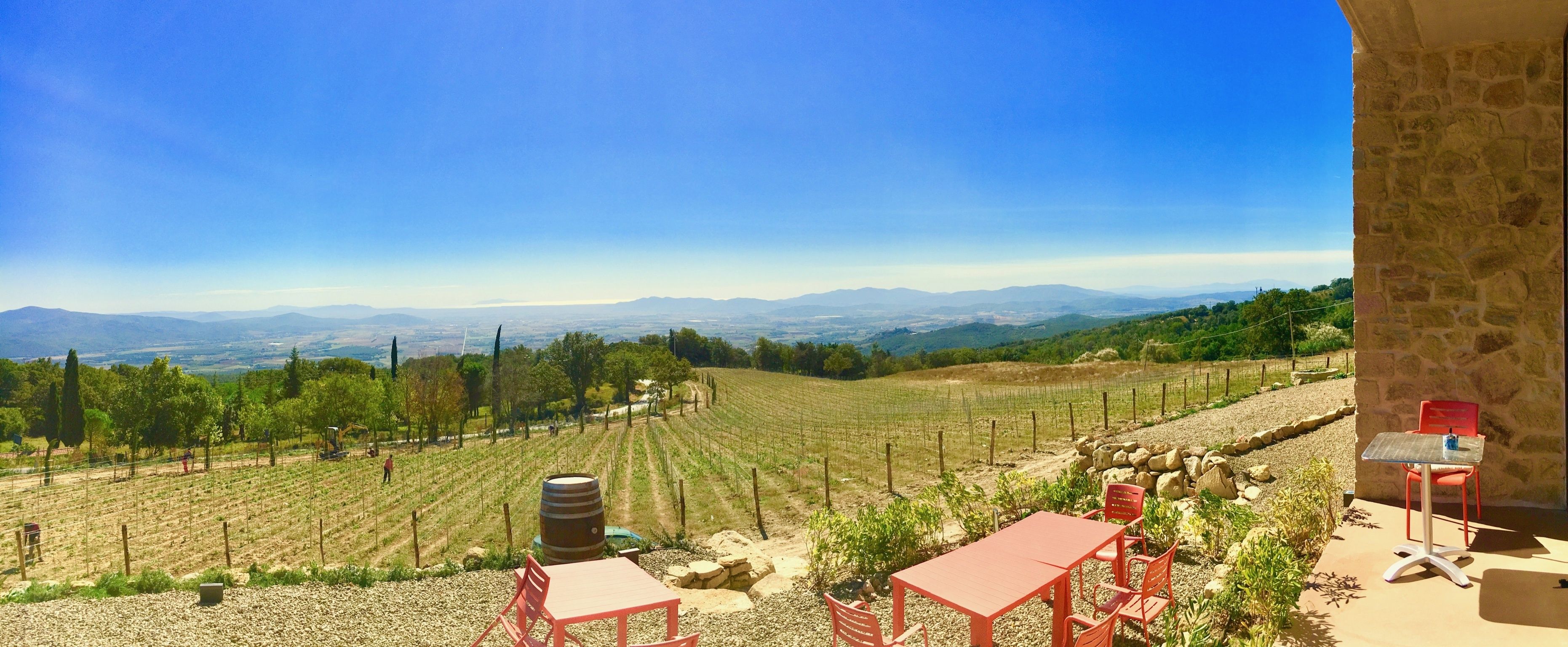 Viñedo con hileras de vides, un edificio de piedra y mesas al aire libre con sillas y una mesa rojas.