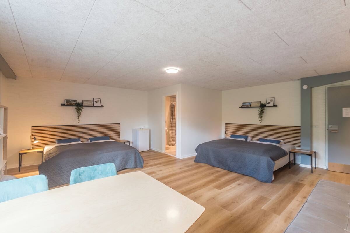 A modern hotel room with two beds, a small table, and a desk. There is a ceiling light and a plant on the wall.