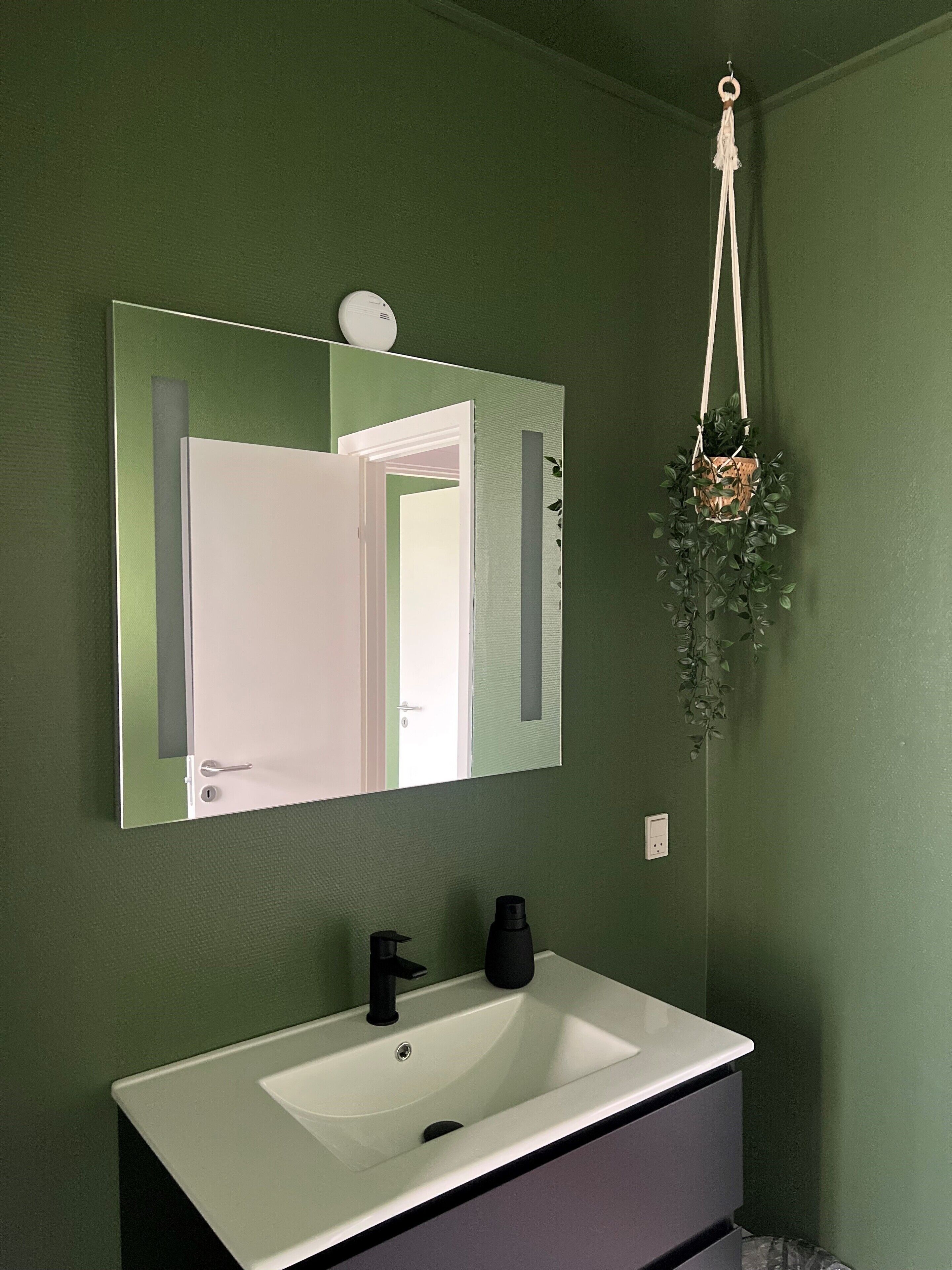 A bathroom with a white sink, a black faucet, a mirror with a green frame, and a hanging plant.