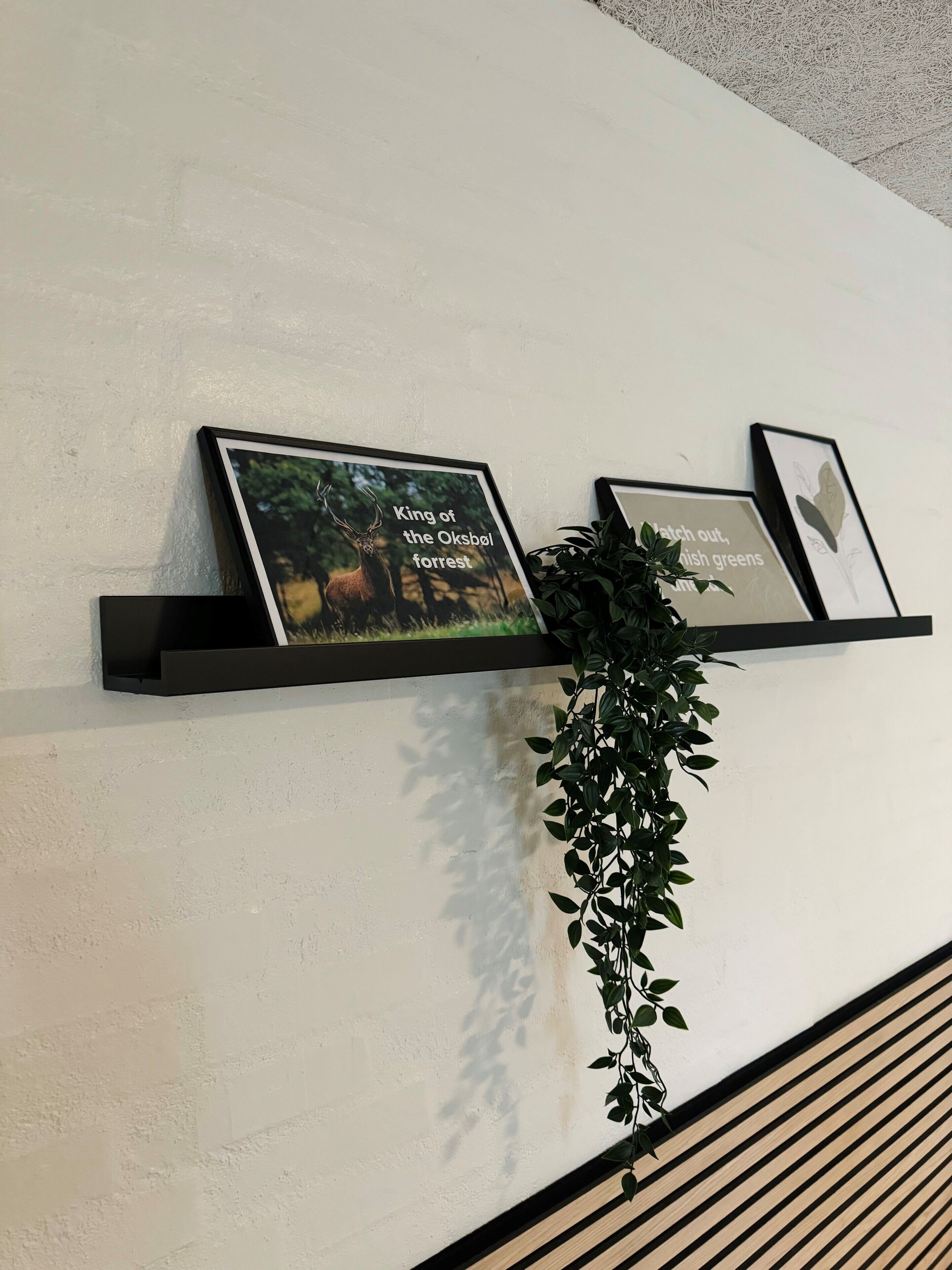 A wall-mounted shelf with framed pictures and a potted plant.