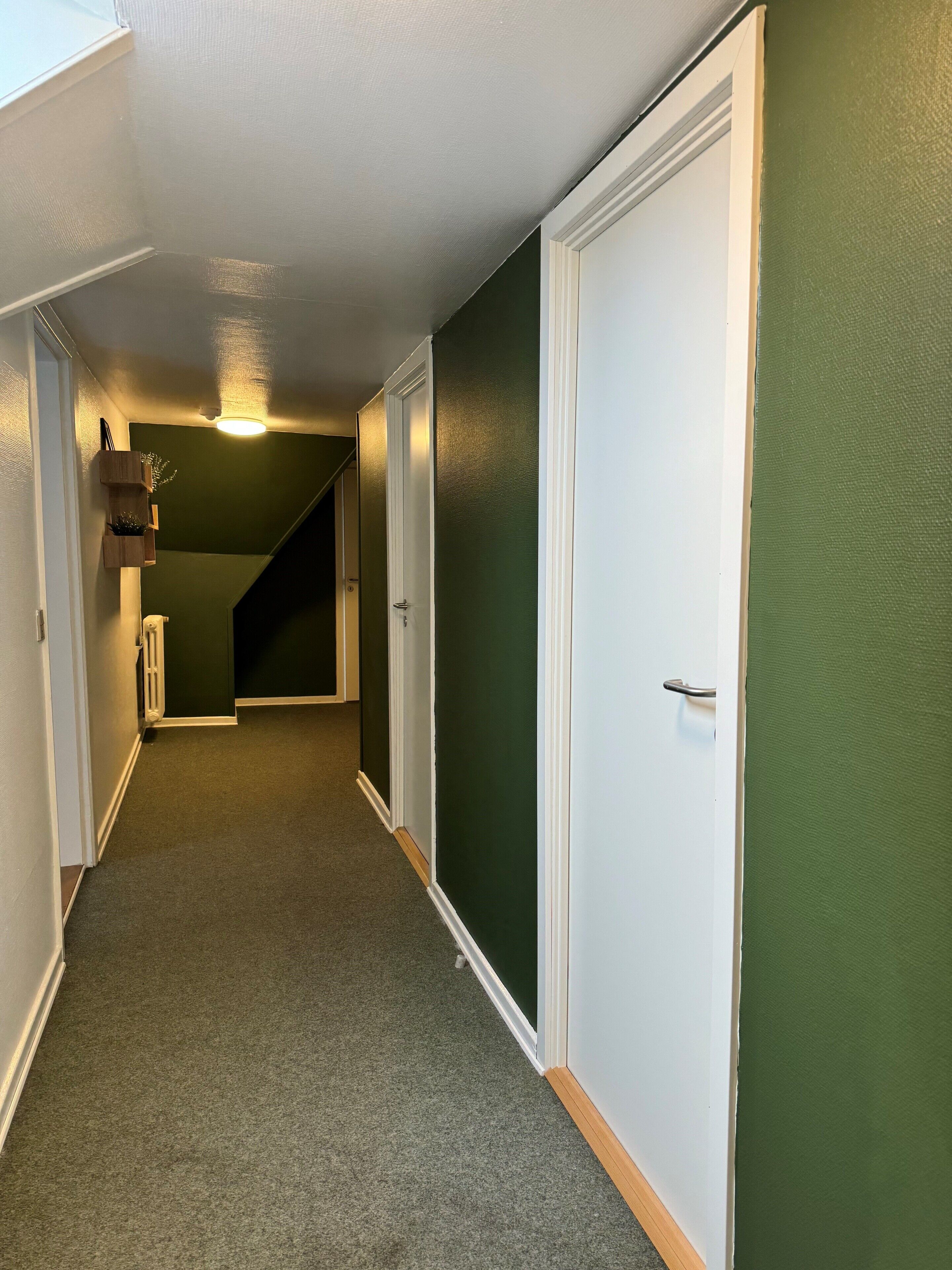 A hallway with green walls, white doors, and a carpeted floor.