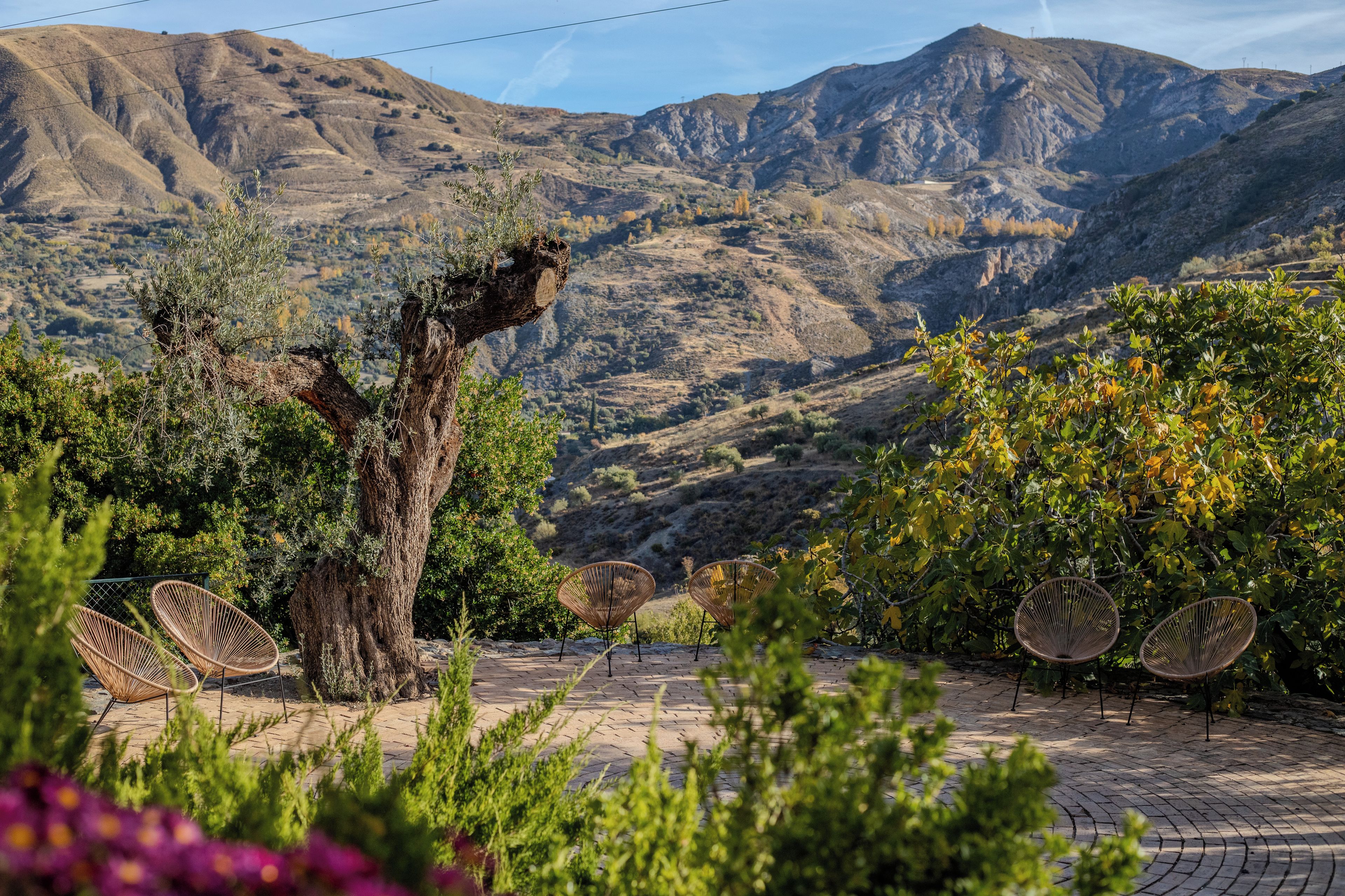 Un paisaje montañoso con un árbol y sillas al frente.