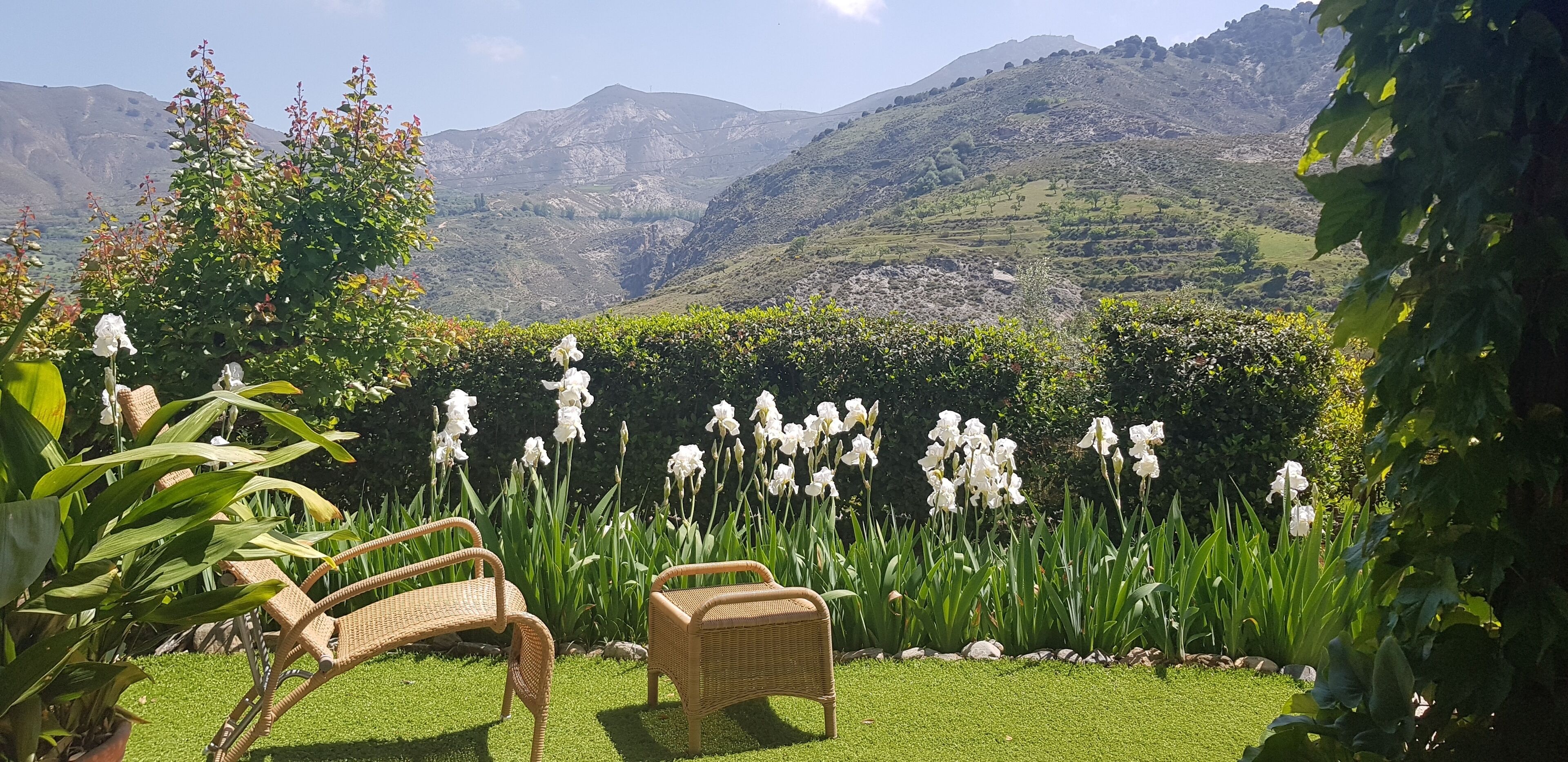 comfort double room, terrace, mountain view | terrace/patio