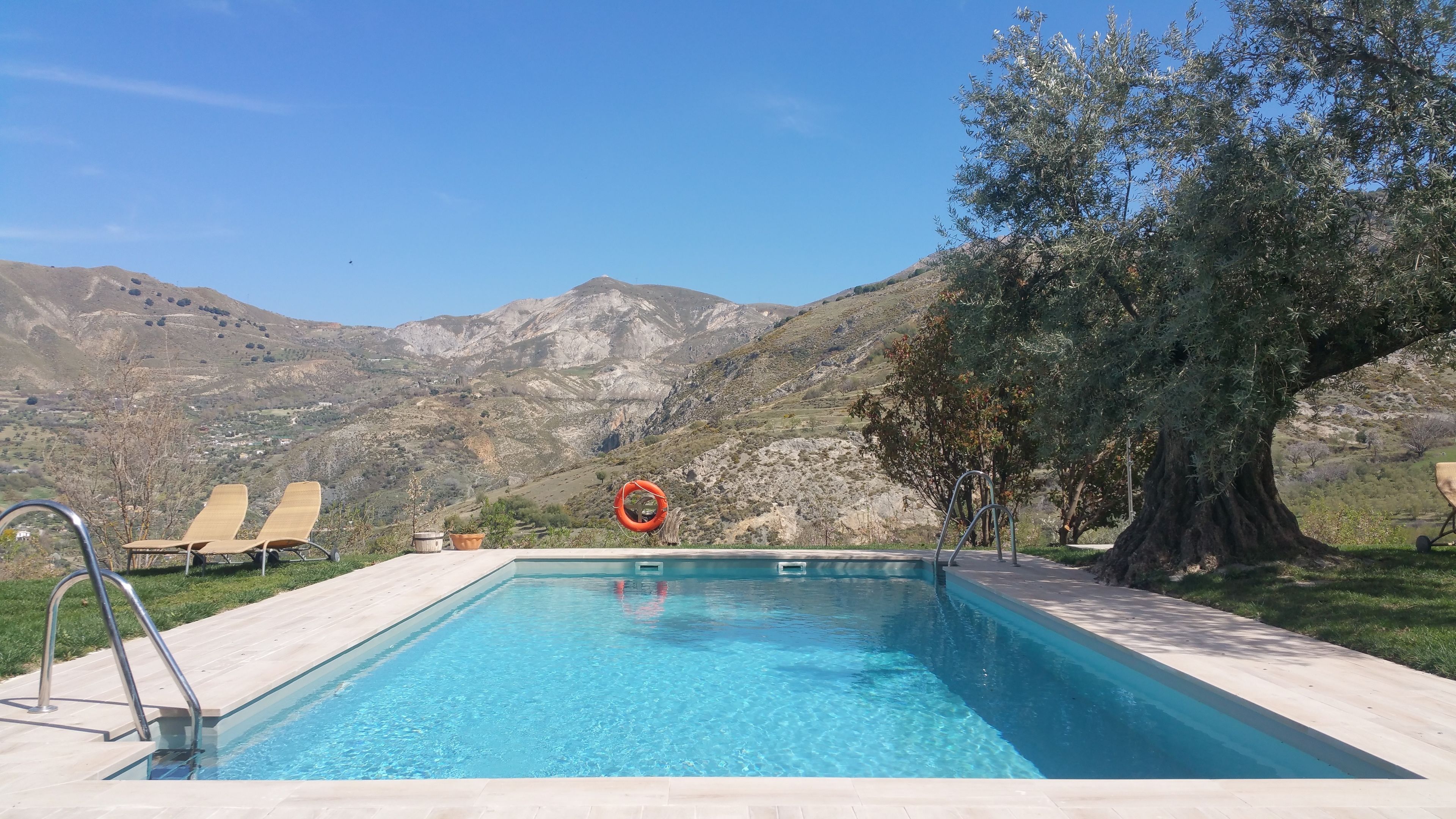 outdoor pool, pool loungers