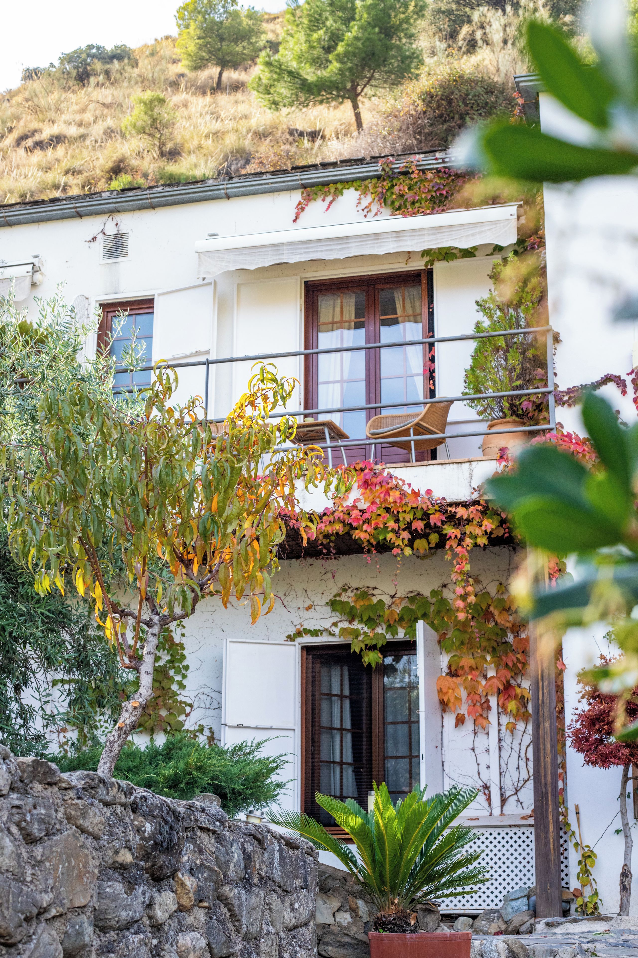 A two-story building with a balcony, a stone wall, and a variety of plants.