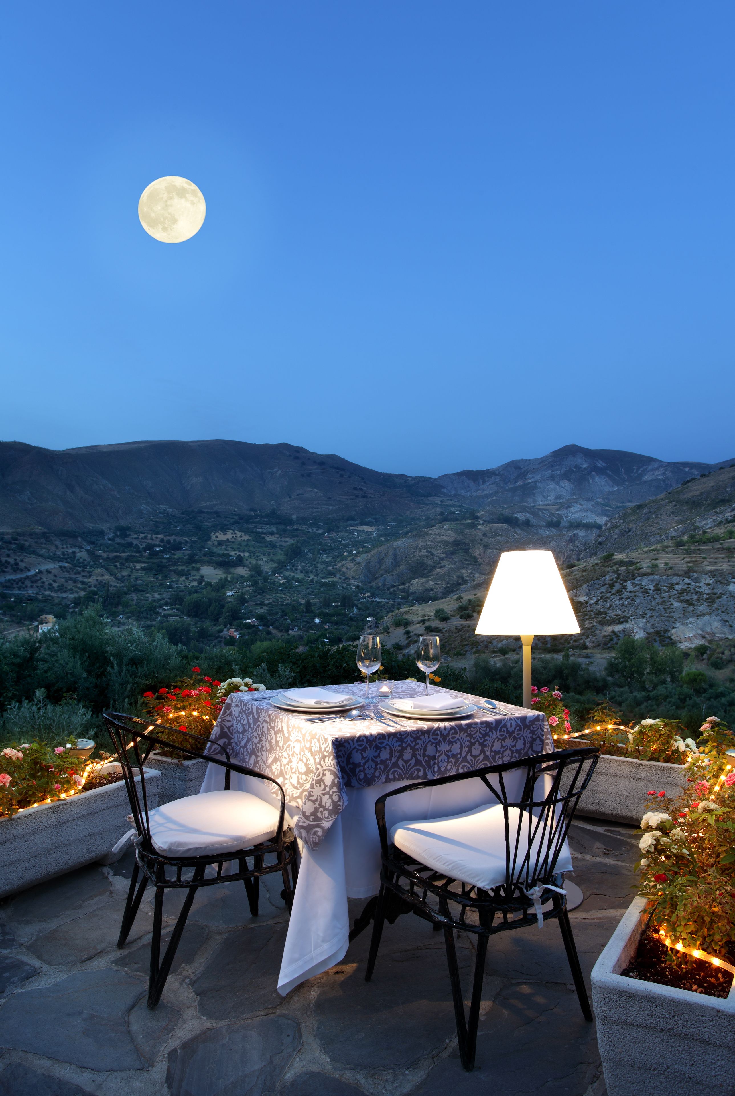 mediterranean cuisine, garden views