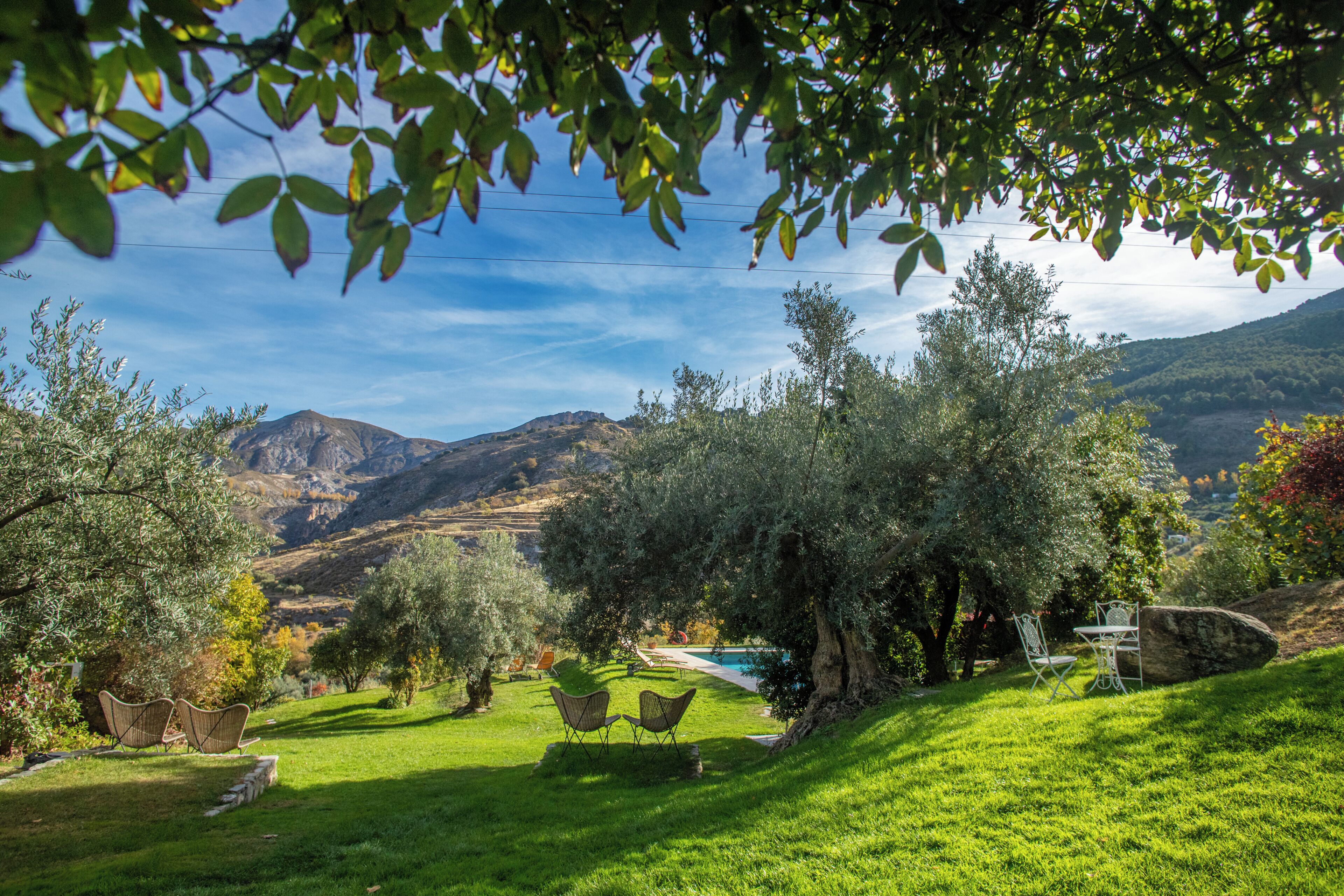 Jardines del alojamiento