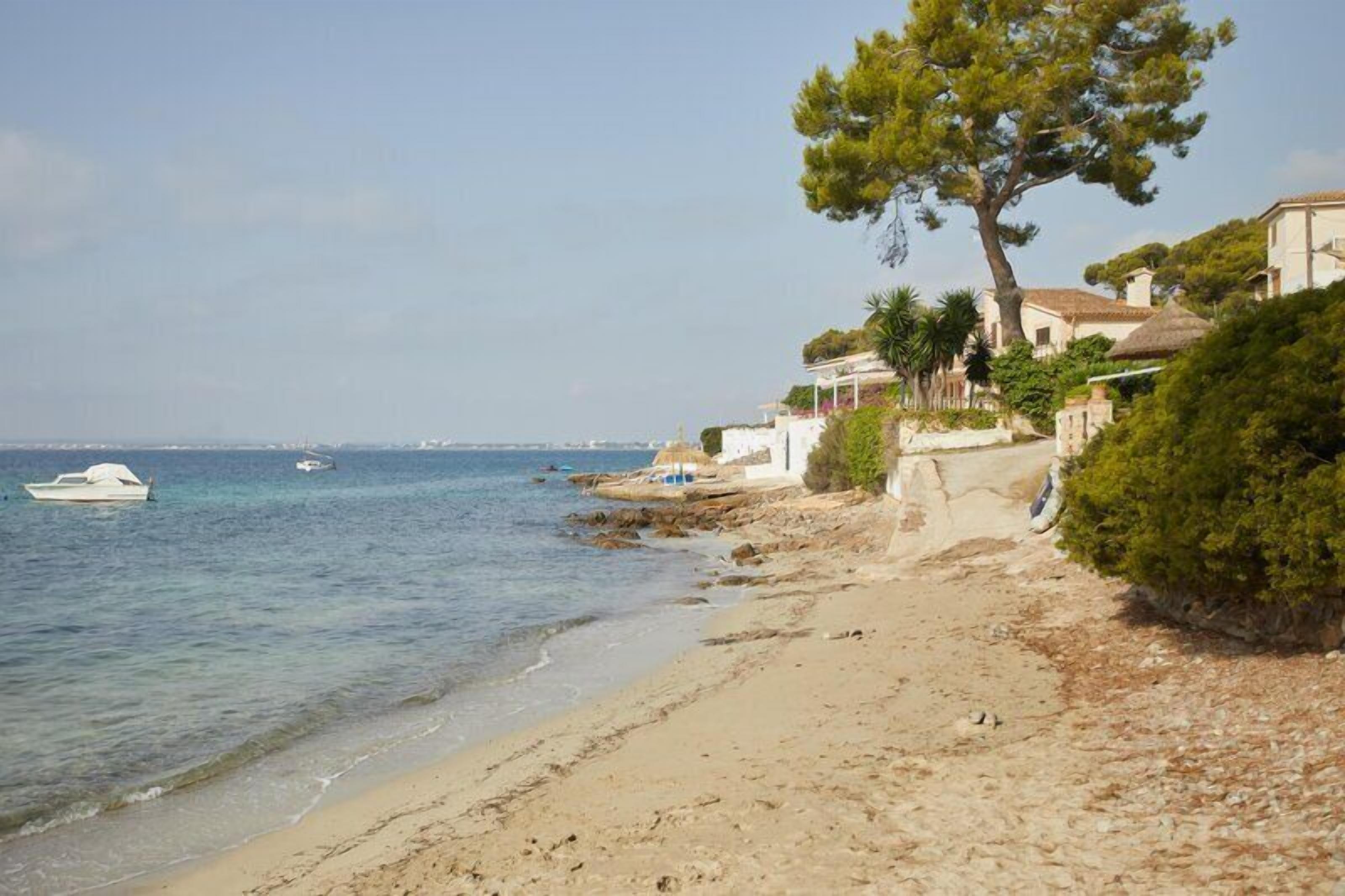 Plage à proximité