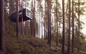 A cabin in a forest with a large window and a balcony. - Tree Hotel (Harads)