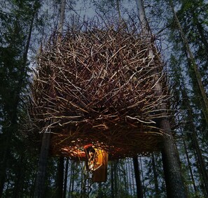 A treehouse with a nest-like structure made of branches, surrounded by a forest.