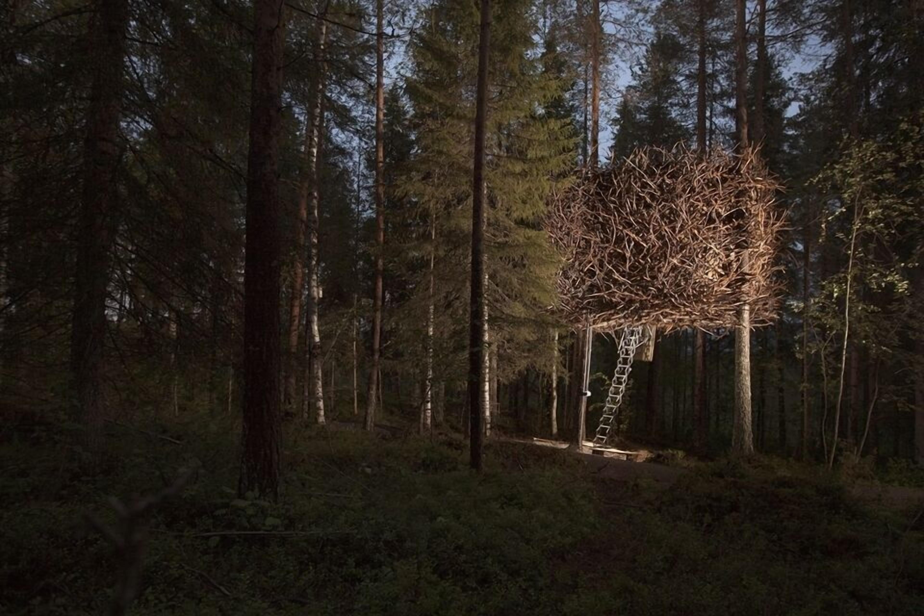 Une forêt dont la structure ressemble à un arbre, avec des branches et une échelle qui y mène.