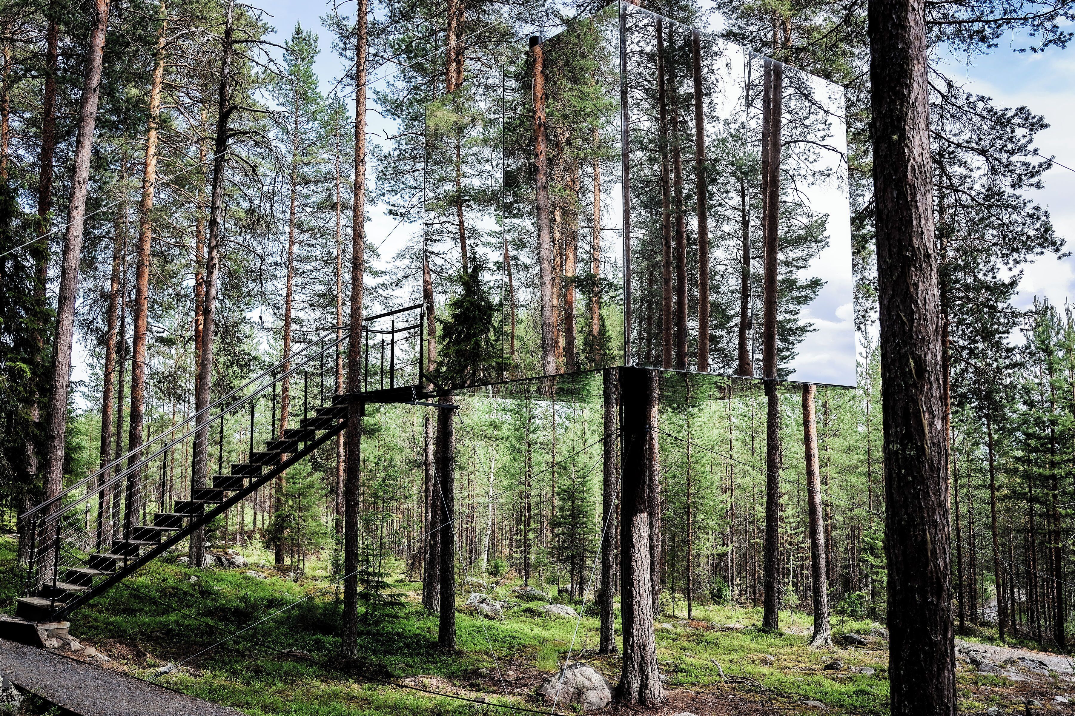 A forest with a metal staircase leading up a tree.