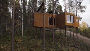 A wooden cabin elevated on stilts in a forest. - Tree Hotel (Harads)