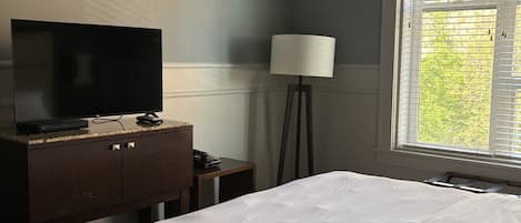 Room, 1 King Bed