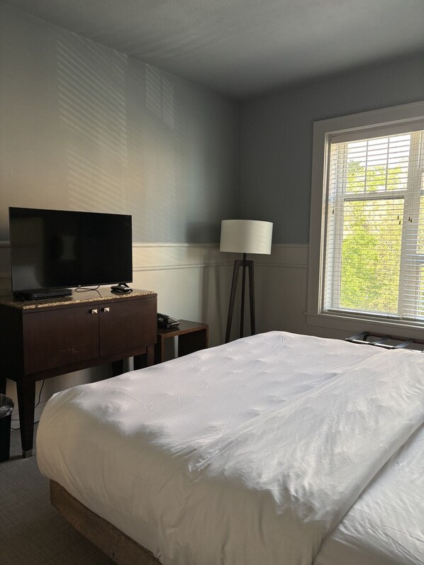 Room, 1 King Bed