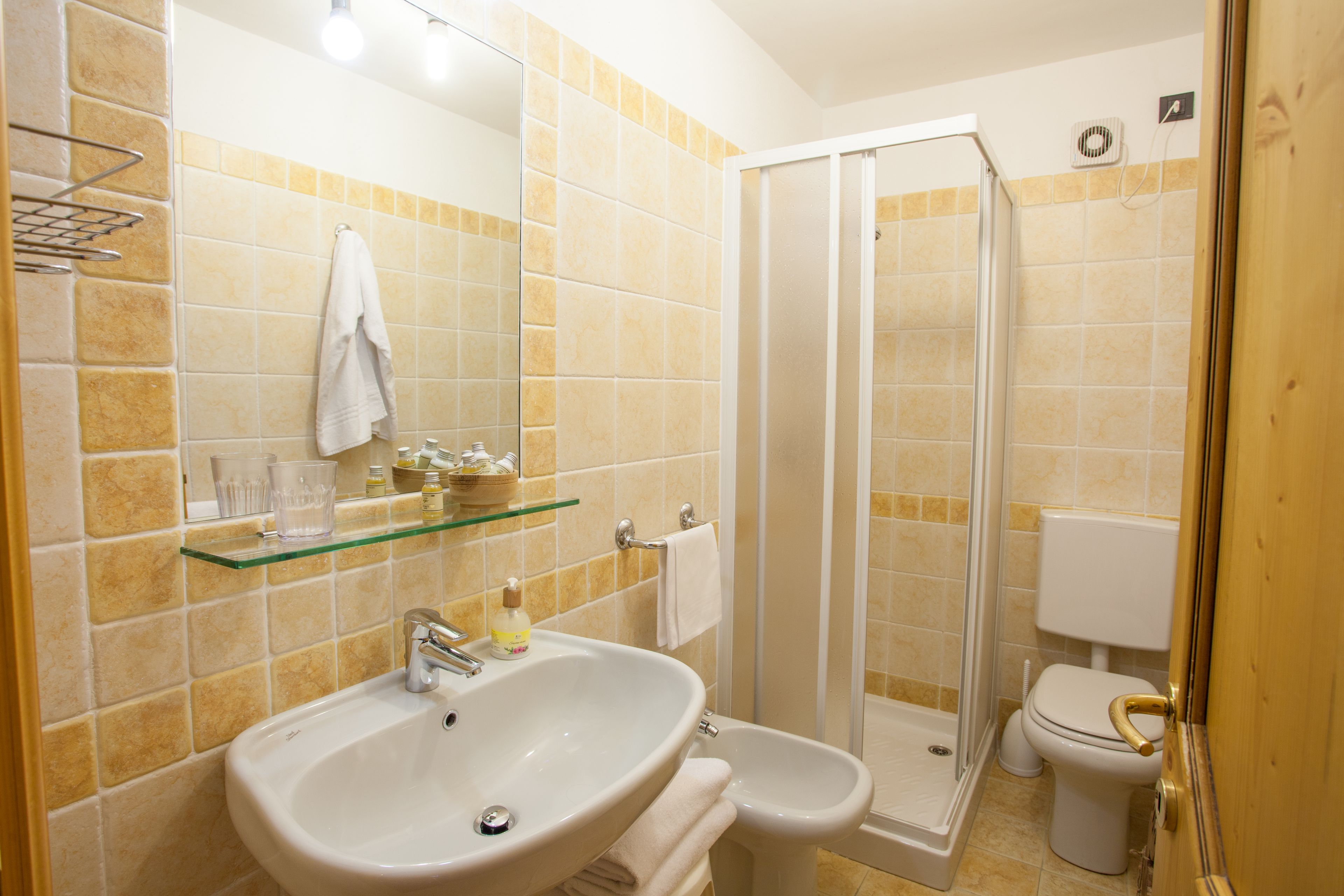 shower, free toiletries, hair dryer, bidet