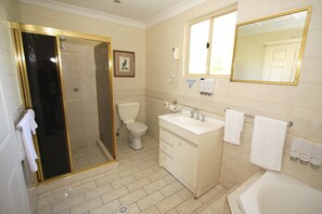 Máy sấy tóc, khăn tắm