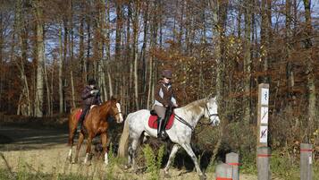 Twee personen rijden op paarden over een onverhard pad, omgeven door bomen.