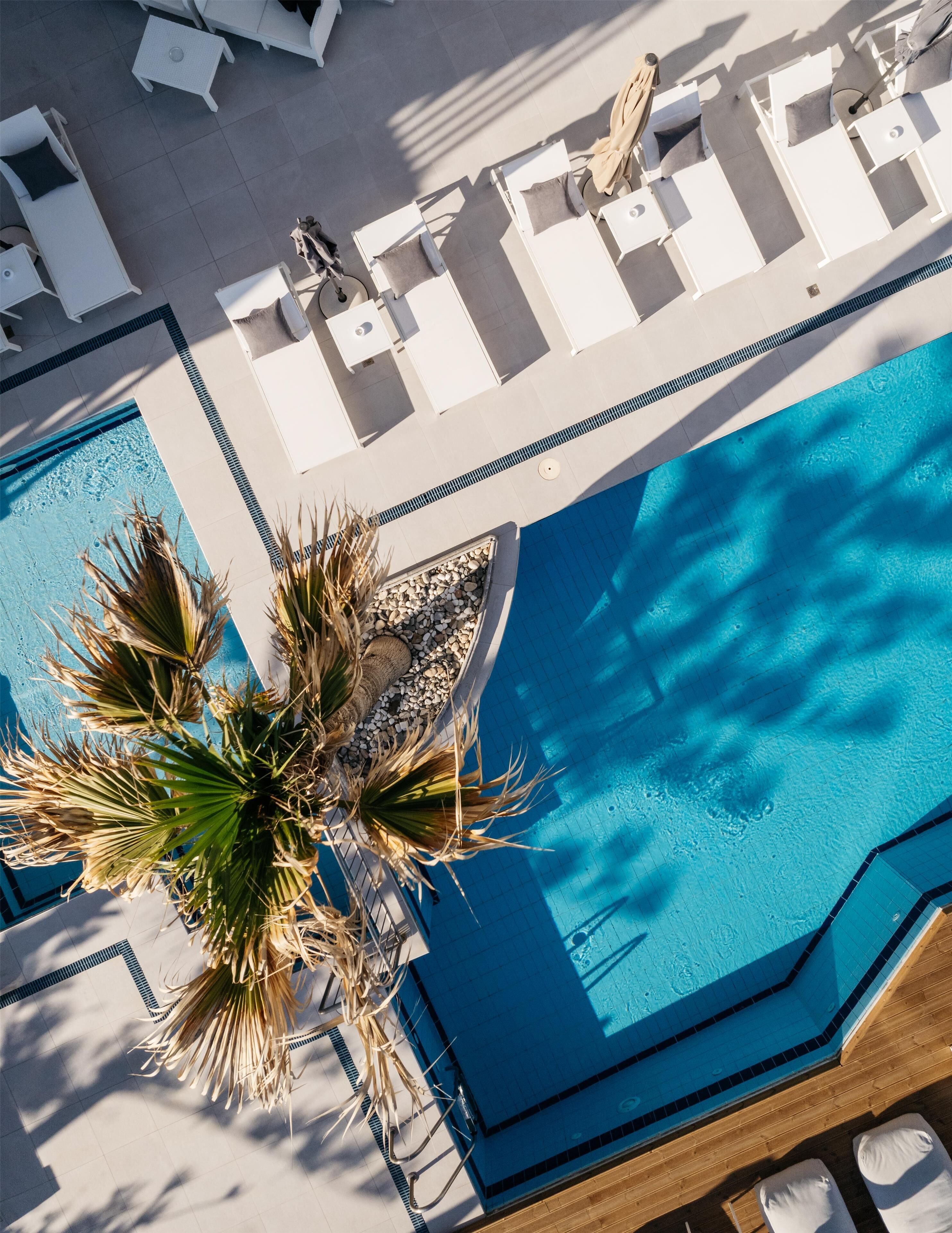 Vista aérea de una piscina con sillas de descanso y una palmera.