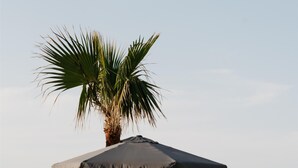 A poolside area with two white lounge chairs, a palm tree, and a large umbrella. - Petradi Beach Lounge Hotel by GHH (Rethymno)