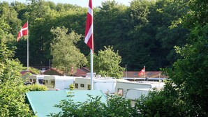 A row of RVs parked in a wooded area with flags on flagpoles.