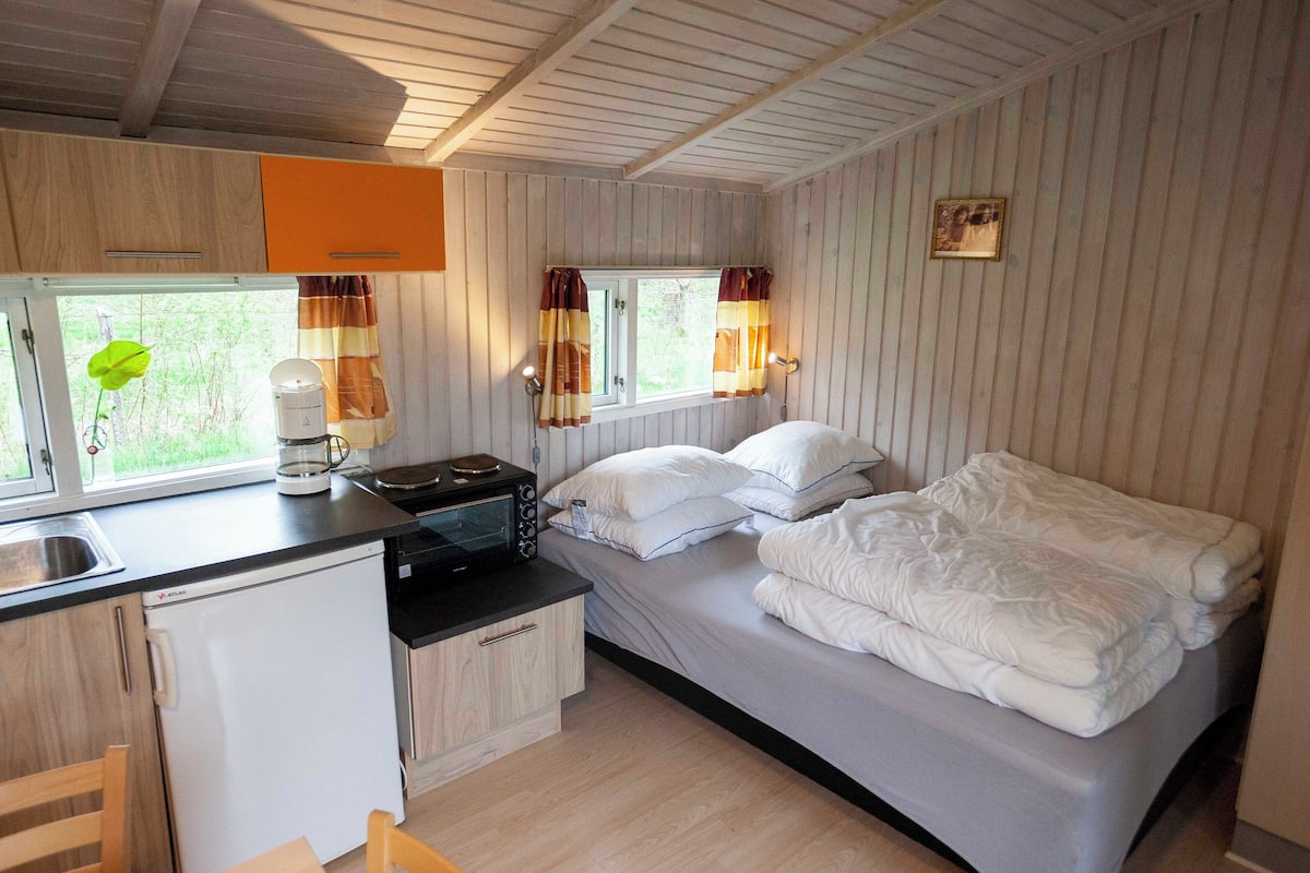Habitación compacta con cama, una kitchenette pequeña, ventana con cortinas y vista a áreas verdes.