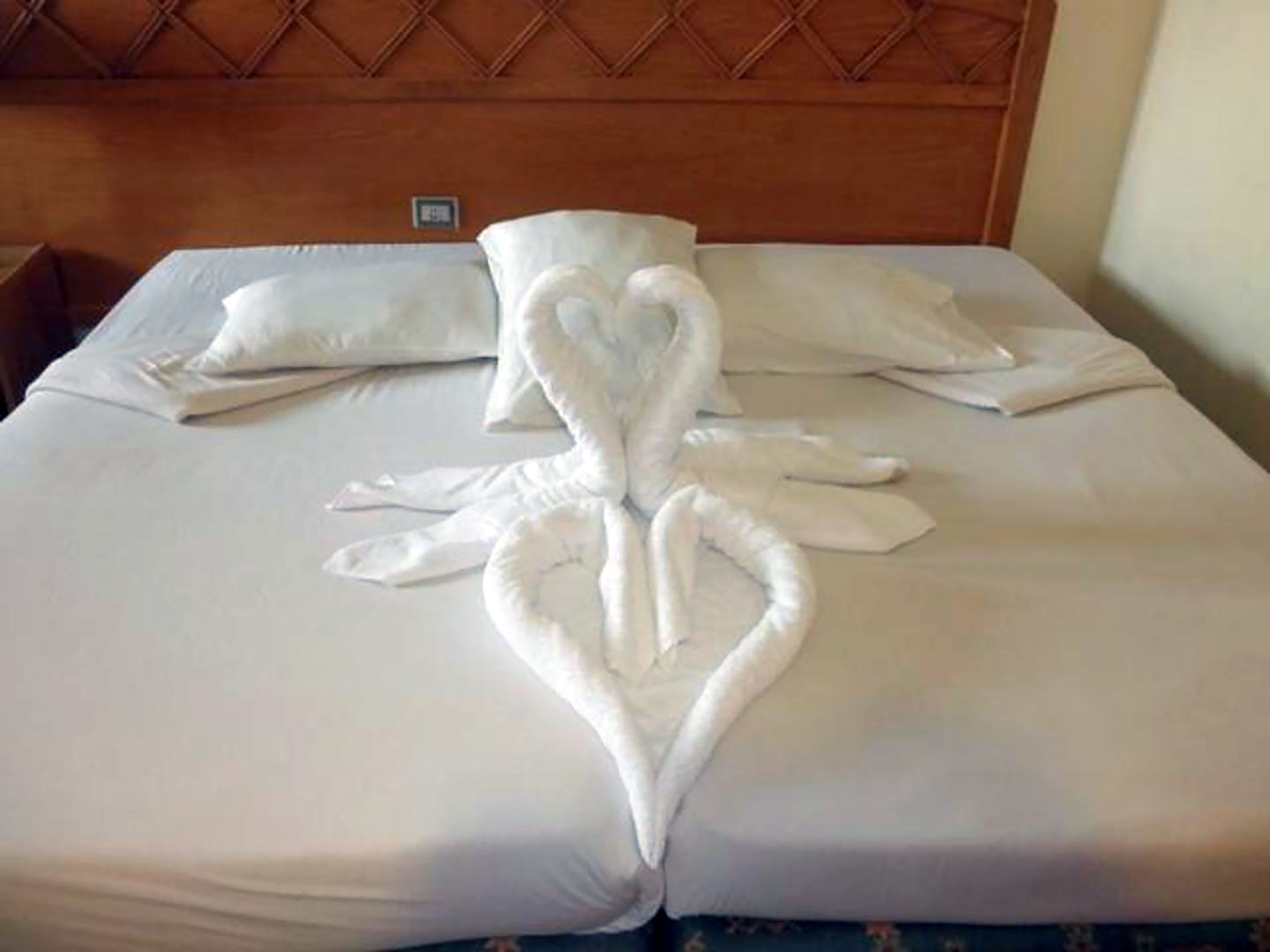 Photo - Dive Inn Resort