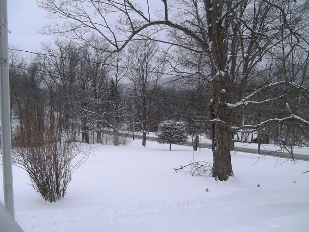 A snowy landscape with bare trees and a fence.
