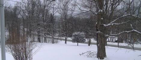 A snowy landscape with bare trees and a fence.