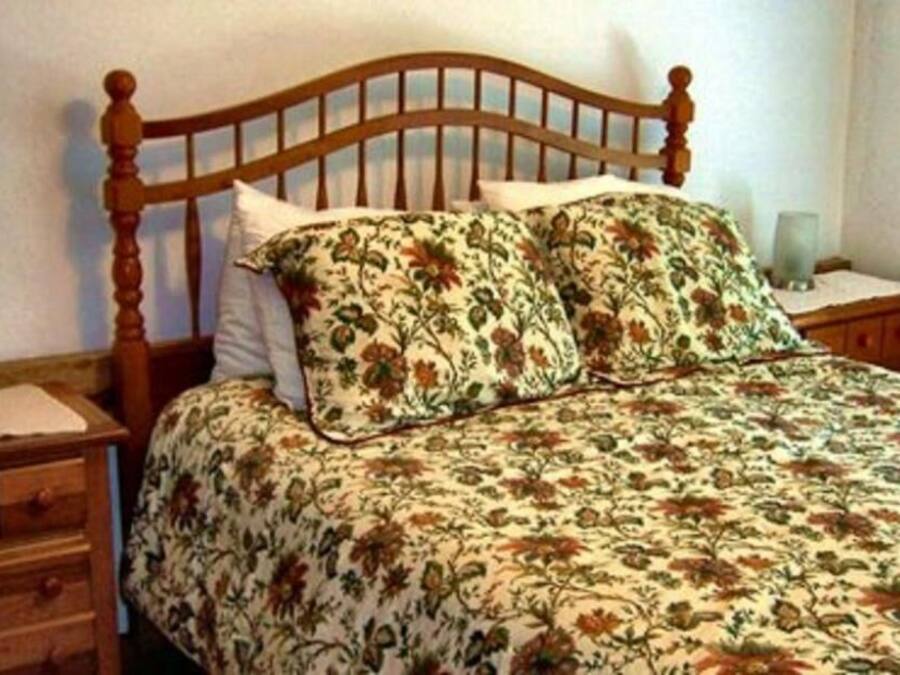 A bed with a floral bedspread and two pillows, a wooden headboard, a nightstand with a lamp, and a wooden dresser with drawers.