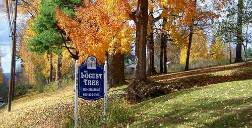 Locust Tree Bed and Breakfast LLC