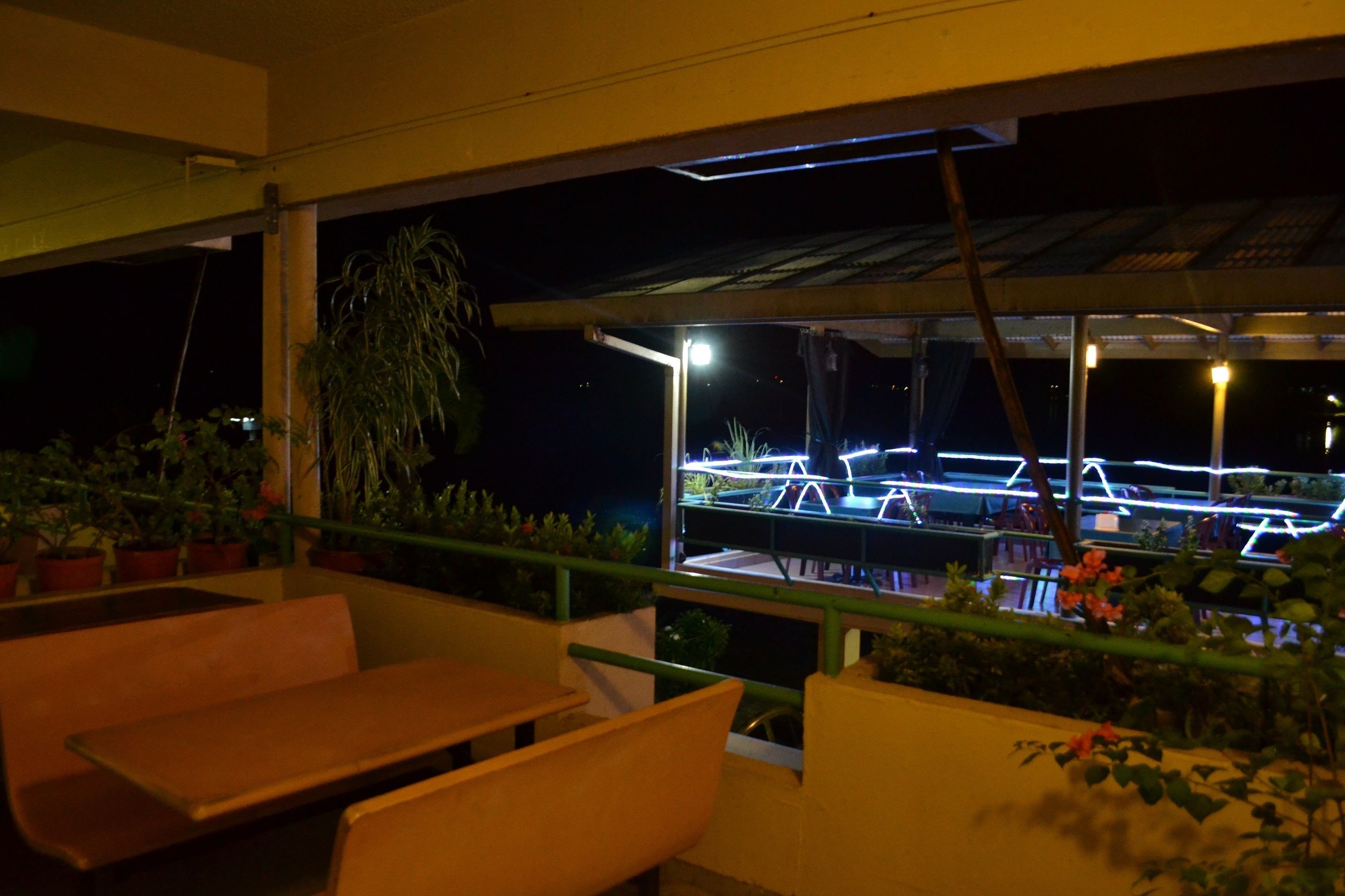 An outdoor seating area with wooden benches and potted plants.