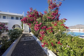 Front of property - Thira's Dolphin (Santorini)
