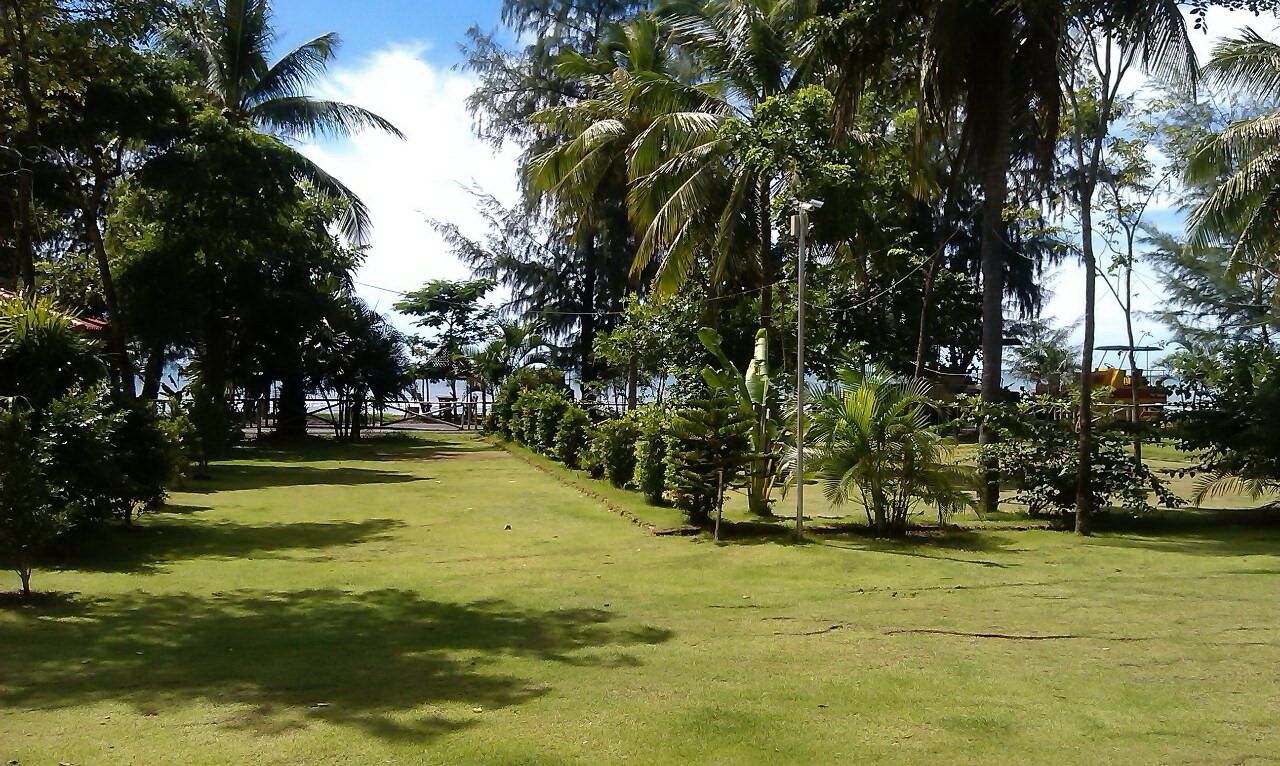 Zona verde y bien cuidada con palmeras y cielo despejado.