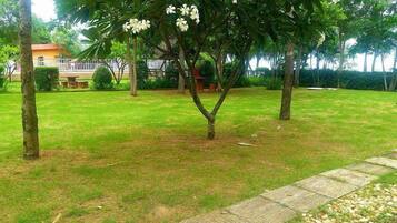 A grassy area with a tree and a pathway.