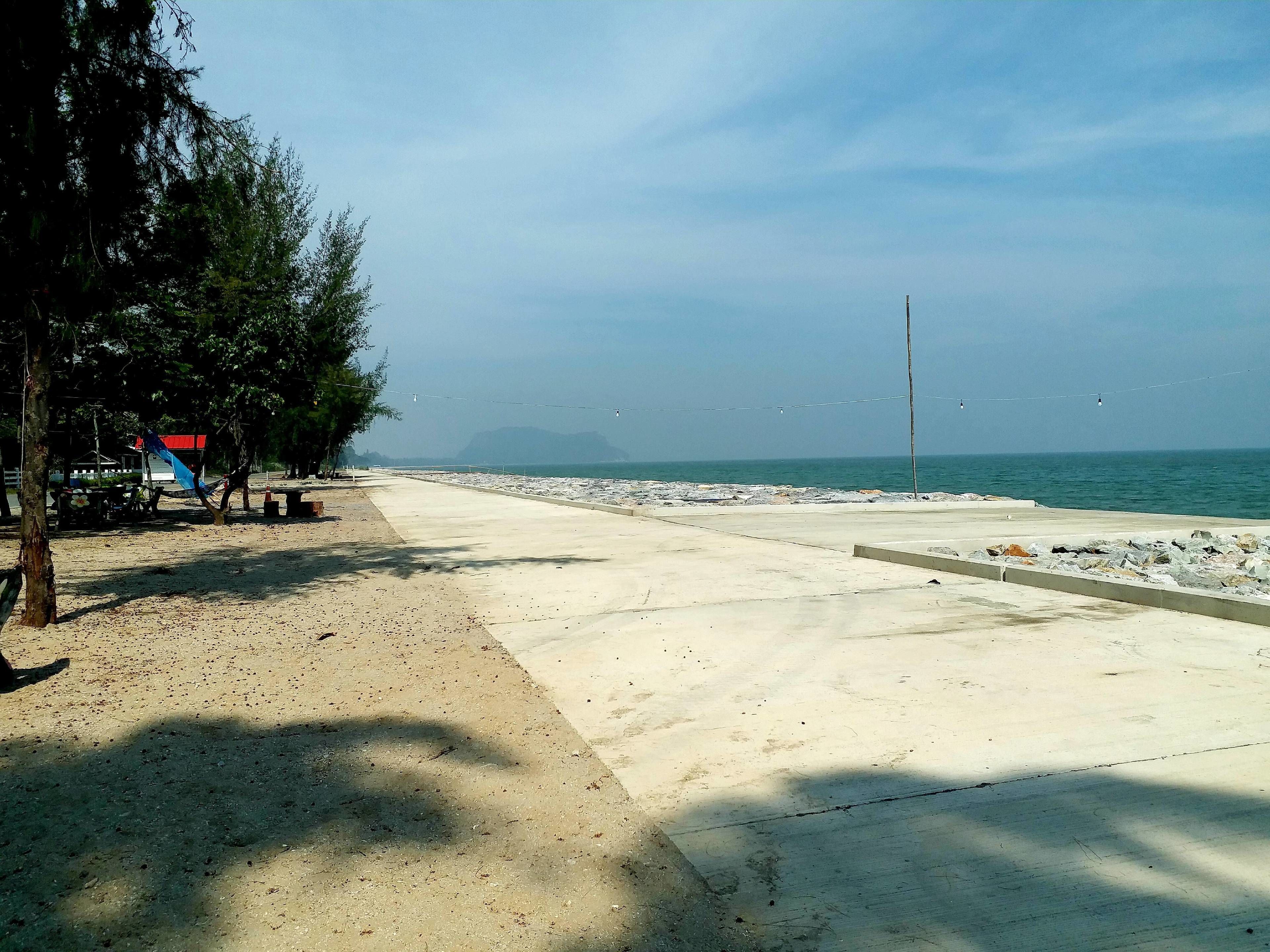 A coastal walkway with a concrete path, trees, and a view of the sea.