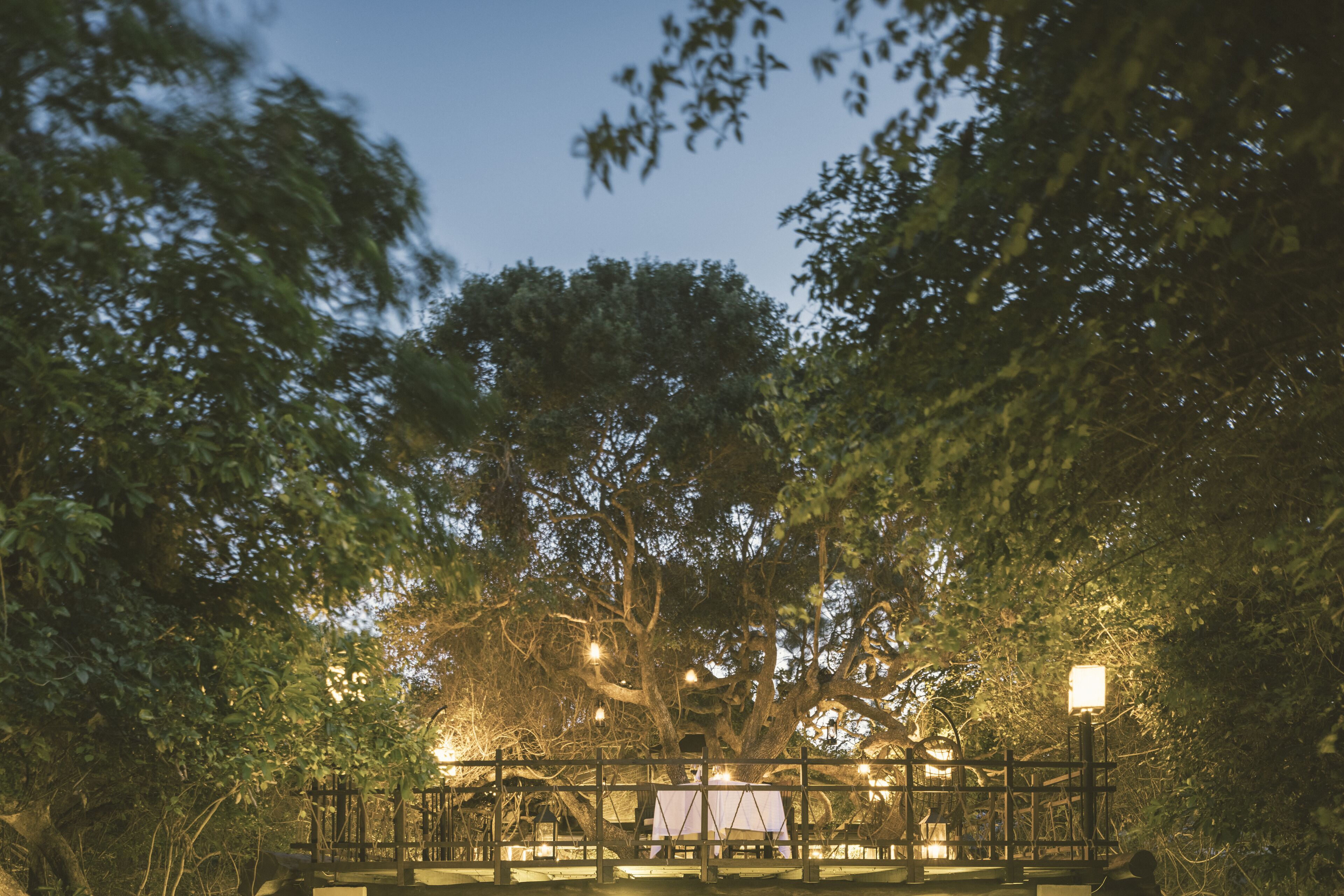 breakfast, lunch, dinner served; fusion cuisine, pool views