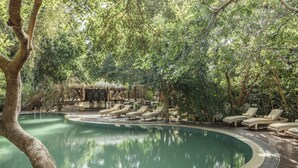 A pool area with lounge chairs and a thatched-roof structure. - Jungle Beach an Uga Experience - Trincomalee (Kuchchaveli)