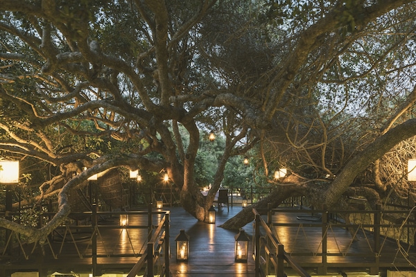 Melayani sarapan dan makan siang dengan pemandangan kolam renang