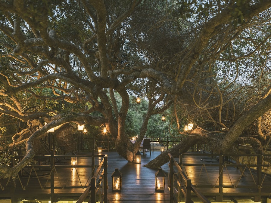 Breakfast, lunch, dinner served; Fusion cuisine, pool views