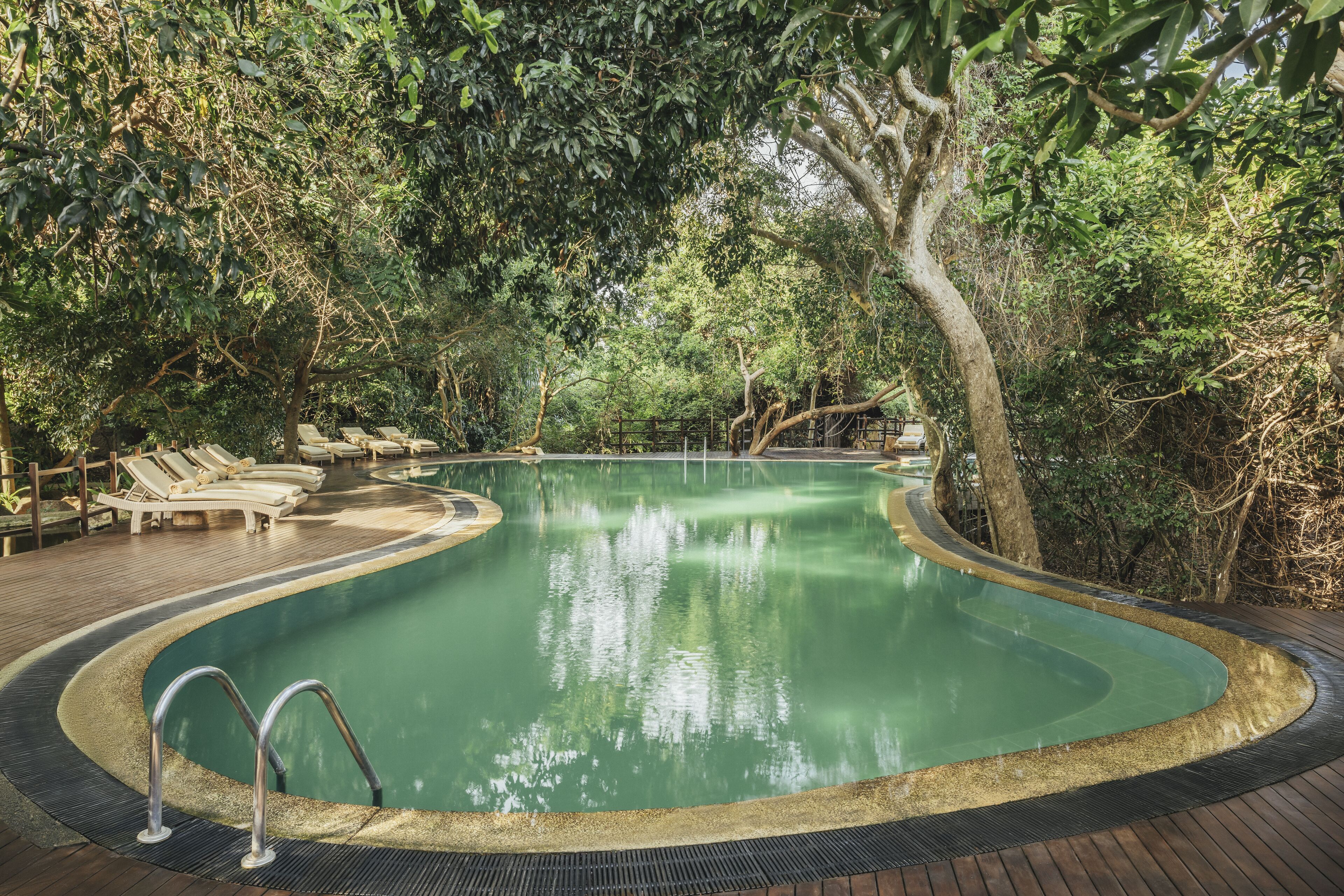 outdoor pool, pool loungers