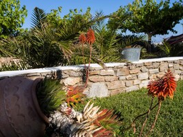 Jardín