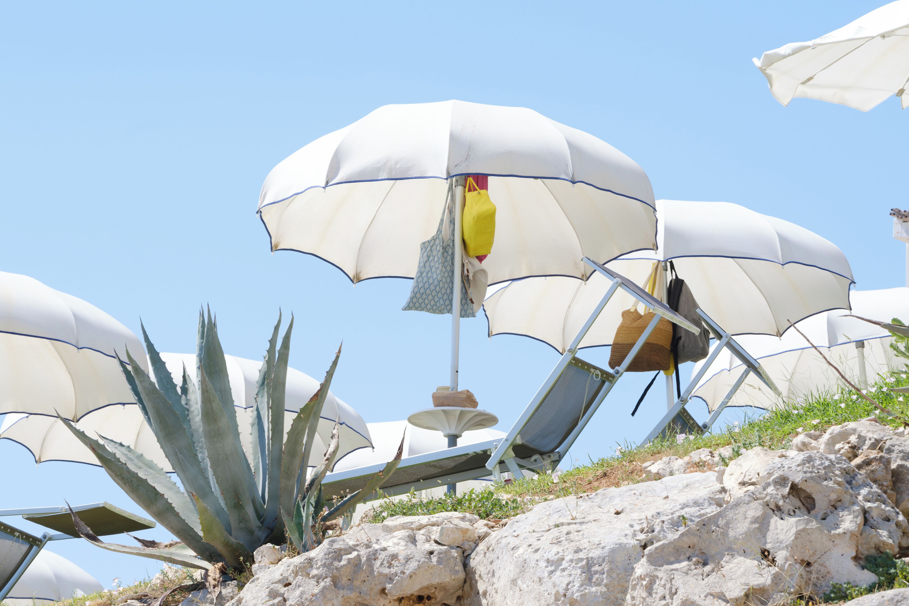 Escena de playa con varias sombrillas blancas, una silla y una planta de agave.