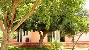 A tree-lined pathway leading to a building with a red brick base and a pink wall. - Gianferrante (Paterno)